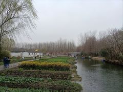 -溱湖国家湿地公园