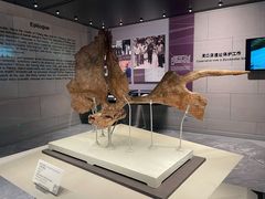 -北京周口店北京人遗址博物馆
