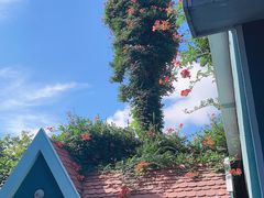 -八大关景区