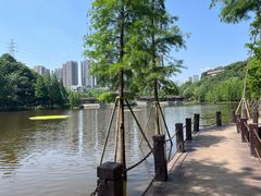 -重庆彩云湖湿地公园