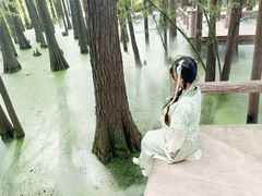 -东湖落雁景区
