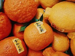 -果蔬好生活超市(双井店)