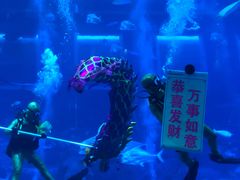 -新加坡海洋生态馆