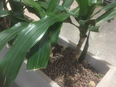 -百佳华佳漾里(坂田店)