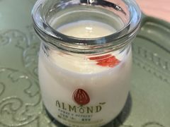 -杏甜品(尖沙咀加拿分道店)
