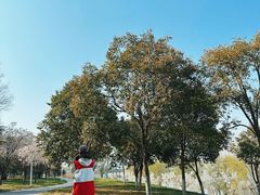 -灞河西岸滨河公园