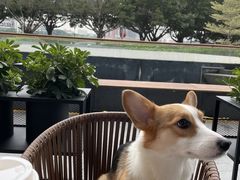 -星巴克臻选(广州二沙岛文立方店)