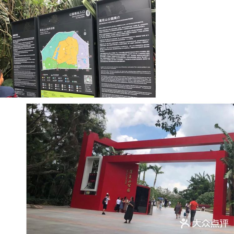 攻略丨打卡深圳的另外一个地标莲花山公园
