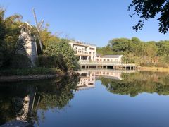 -大屏嶂森林公园