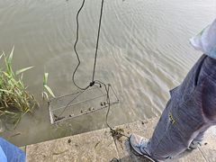 -九里河湿地公园