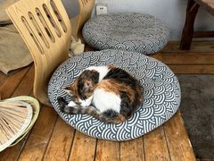 -后海16号·北京私房菜