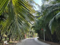 -白沙门生态公园