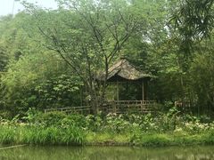 -昆山城市生态森林公园