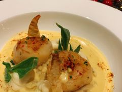 香煎扇贝配芹菜根泥-AZUL by FUEL蓝色·法式酒馆(琶醍店)