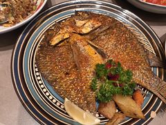 -塔哈尔·新疆盛宴(奉贤龙湖店)