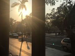 -251#coffee roasters(沿河东路店)
