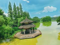 -茅家埠