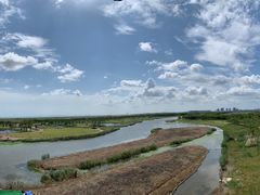 -春花秋色城市公园