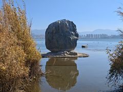 -洱海月湿地公园