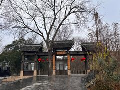 -溱湖国家湿地公园