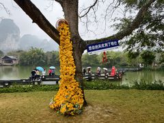 -明仕田园