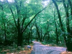-廊坊市自然公园