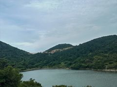 -大姆山草场