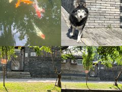 -春风习习