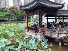 -龙头寺公园