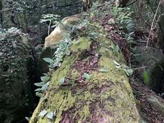 -七仙岭温泉国家森林公园