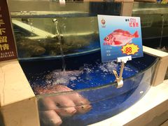 水产区-海景壹号大酒店(滨湖店)
