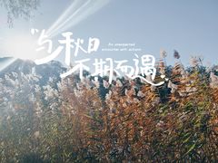 -颐和园