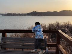 -东湖落雁景区