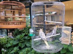 -蘇河湾·新鲁菜·泰山宴(泰山店)