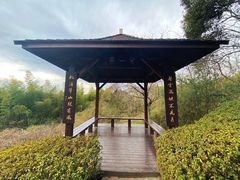-天目湖涵田度假村