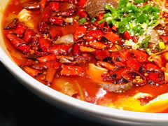 -陈麻婆豆腐总店