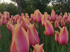 -长春公园(普阳街道)