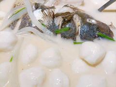 浓汤鱼元-刘胖子家常菜·蹄花焖藕(兴业店)