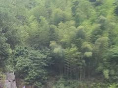 -将军关探险漂流