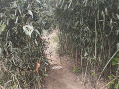 -会稽山峡洞漂流-上青古道