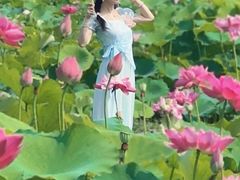 -嘉北郊野公园