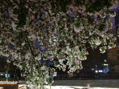 -永红源·啤酒烧烤海鲜大排档(台柳路店)