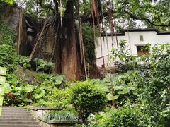 -乌山风景区