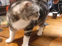 -咖法森林·咖啡  酒吧(天河店)