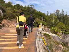 -广东惠东海龟国家级自然保护区