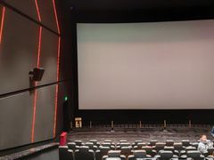 -奥斯卡升龙国际影城(RealD Cinema)