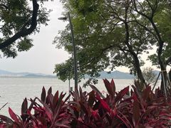 -ommo cafe(半岛城邦店)