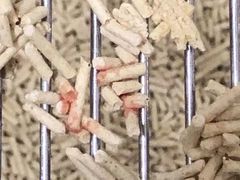 -瑞派·关忠动物医院(国瑞店)