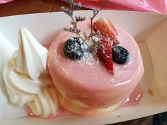 -狐狸和向日葵(北京路店)