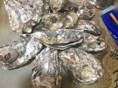 -胜泽眼镜烧烤(云霄路直营店)